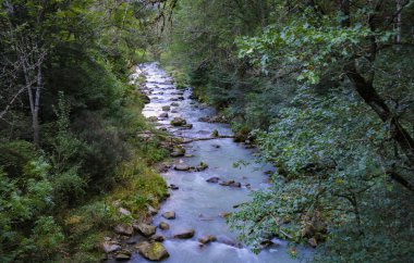 Boi, Aran Vadisi, İspanya, Avrupa, ormanlar, nehirler, şelaleler, dağlar. Yüksek kalite fotoğraf