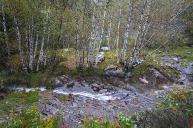 Arties, Aran Vadisi, İspanya, ormanlar, nehirler, şelaleler, dağlar. Yüksek kalite fotoğraf