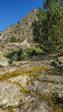 Aiguestortes Ulusal Parkı, Katalonya, İspanya, Avrupa. Yüksek kalite fotoğraf