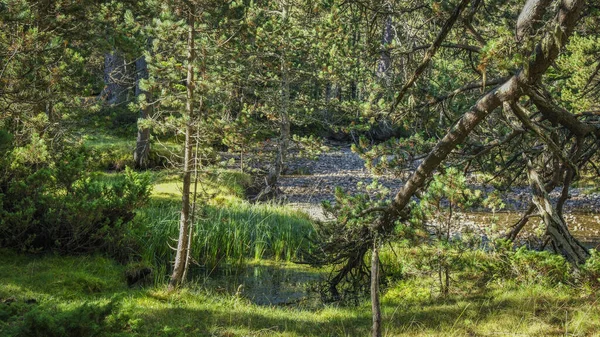 Aiguestortes Ulusal Parkı, Katalonya, İspanya, Avrupa. Yüksek kalite fotoğraf