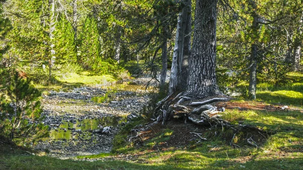 Aiguestortes Ulusal Parkı, Katalonya, İspanya, Avrupa. Yüksek kalite fotoğraf