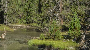 Garos, Arties, Aran Valley, İspanya, Avrupa, evler, kapılar, pencereler, ormanlar, nehirler, şelaleler, dağlar
