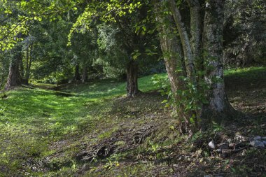 Bagneres de Luchon, Francia, Charm şehri