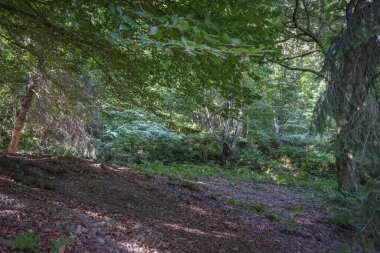 Bagneres de Luchon, Francia, Charm şehri