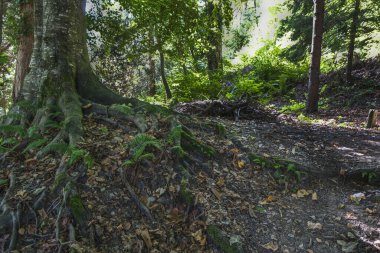 Bagneres de Luchon, Francia, Charm şehri