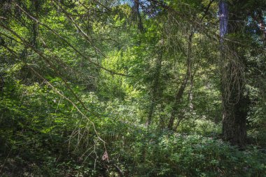 Bagneres de Luchon, Francia, Charm şehri