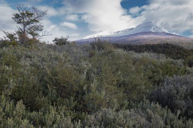 Tierra del Fuego Milli Parkı, Ushuaia, Arjantin