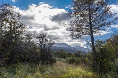 Tierra del Fuego Milli Parkı, Ushuaia, Arjantin