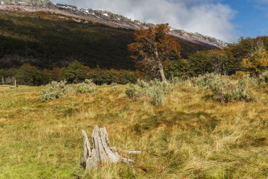 Tierra del Fuego Milli Parkı, Ushuaia, Arjantin