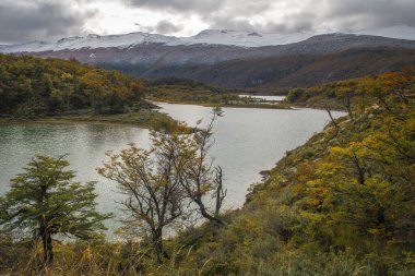 Tierra del Fuego Milli Parkı, Ushuaia, Arjantin