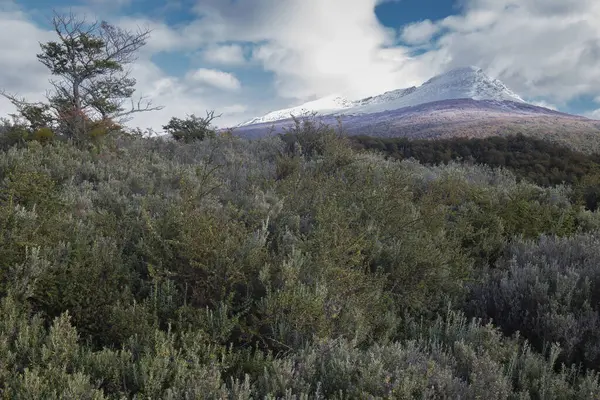 Tierra Del Fuego Nationalpark Ushuaia Argentina — Stockfoto