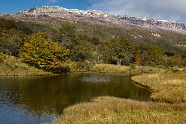 ウシュアイア アルゼンチン ティエラ フエゴ国立公園 — ストック写真
