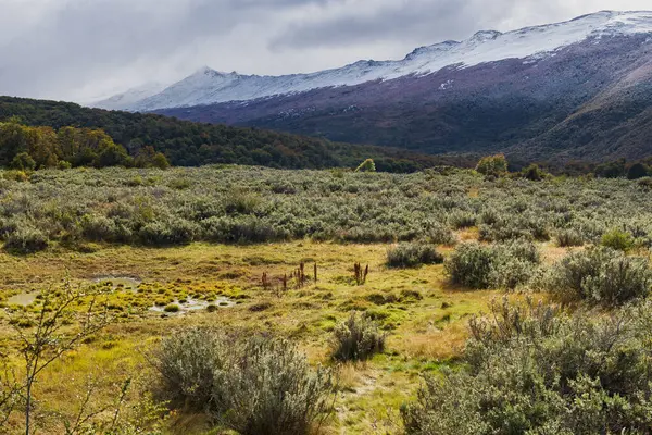 Parque Nacional Tierra Del Fuego Ushuaia Argentina — Fotografia de Stock