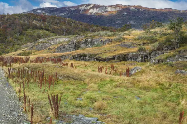 Národní Park Tierra Del Fuego Ushuaia Argentina — Stock fotografie