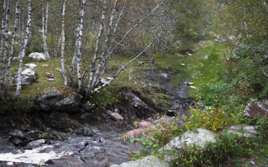 Arties, Aran Valley, İspanya, ormanlar, nehirler, şelaleler, dağlar