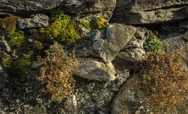 Boi, Arties, Aran Vadisi, İspanya, ormanlar, nehirler, şelaleler, dağlar