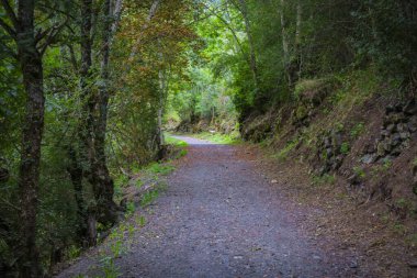 Boi, Arties, Aran Vadisi, İspanya, ormanlar, nehirler, şelaleler, dağlar
