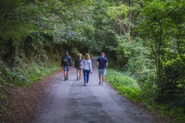 Boi, Arties, Aran Vadisi, İspanya, ormanlar, nehirler, şelaleler, dağlar