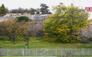 Harberton Çiftliği, Tierra del Fuego, Usuahia, Beagle Kanalı, Arjantin. Yüksek kalite fotoğraf