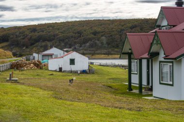 Harberton RancHarberton Ranch, Tierra del Fuego, Usuahia, Beagle Channel, Argentinah, Tierra del Fuego, Usuahia, Beagle Channel, Arjantin. Yüksek kalite fotoğraf