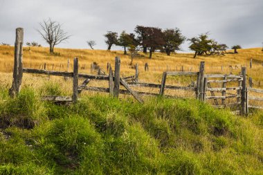 Harberton RancHarberton Ranch, Tierra del Fuego, Usuahia, Beagle Channel, Argentinah, Tierra del Fuego, Usuahia, Beagle Channel, Arjantin. Yüksek kalite fotoğraf