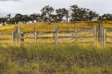 Harberton RancHarberton Ranch, Tierra del Fuego, Usuahia, Beagle Channel, Argentinah, Tierra del Fuego, Usuahia, Beagle Channel, Arjantin. Yüksek kalite fotoğraf