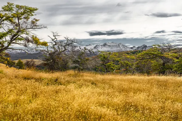 Harberton Rancharberton Ranch Tierra Del Fuego Usuahia Beagle Channel Argentinah — Fotografia de Stock