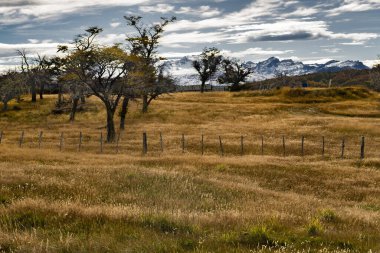 Harberton Çiftliği, Tierra del Fuego, Usuahia, Beagle Kanalı, Arjantin. Yüksek kalite fotoğraf