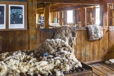 Harberton Çiftliği, Tierra del Fuego, Usuahia, Beagle Kanalı, Arjantin. Yüksek kalite fotoğraf