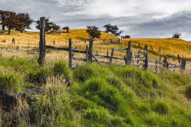 Harberton Çiftliği, Tierra del Fuego, Usuahia, Beagle Kanalı, Arjantin. Yüksek kalite fotoğraf
