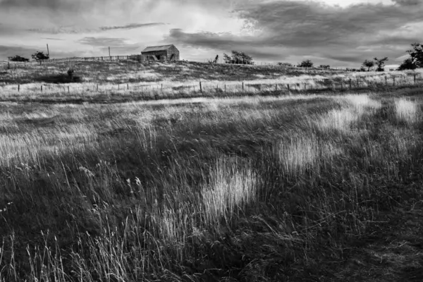 stock image Harberton Ranch, Tierra del Fuego, Usuahia, Beagle Channel, Argentina. High quality photo