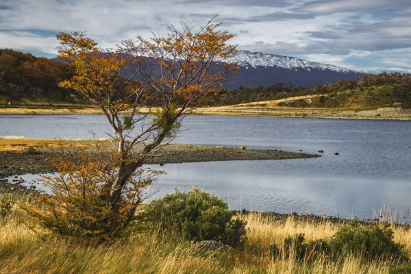 Harberton Ranch Tierra Del Fuego Usuahia Beagle Channel Argentina Kvalitní — Stock fotografie