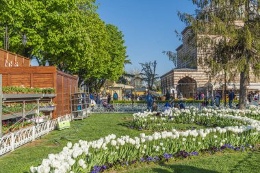 Mavi Cami - İstanbul 'un en önemli camii. Yüksek kalite fotoğraf