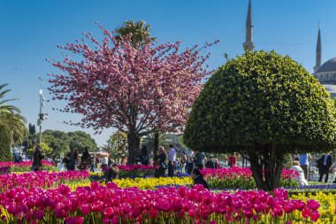 Mavi Cami - İstanbul 'un en önemli camii. Yüksek kalite fotoğraf