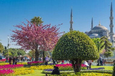 Mavi Cami - İstanbul 'un en önemli camii. Yüksek kalite fotoğraf