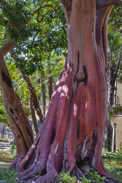 İtalya 'nın Amalfi kıyısındaki Positano şehrinde. Yüksek kalite fotoğraf
