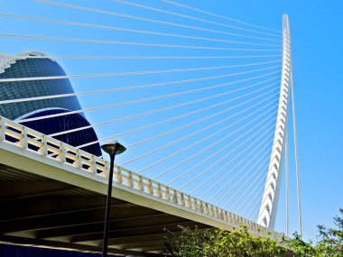 Sanat ve bilim şehri, Valencia. Yüksek kalite fotoğraf