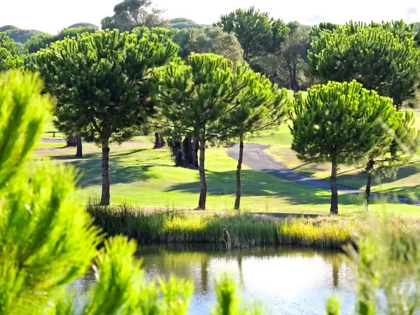 Golf Course Rompido Huelva High Quality Photo — Stock Photo, Image