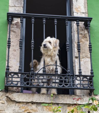Santianes, İspanya 'nın Asturias şehrinde bir kasaba. Yüksek kalite fotoğraf