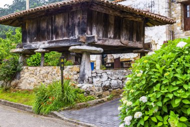 Santianes, İspanya 'nın Asturias şehrinde bir kasaba. Yüksek kalite fotoğraf