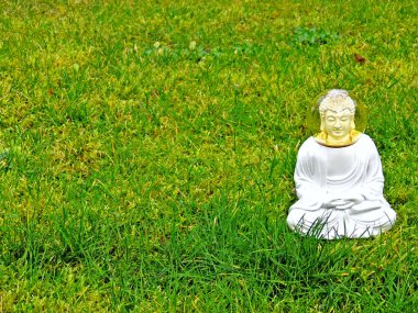 Bir Buda 'ya hayır diyemezsin. Yüksek kalite fotoğraf