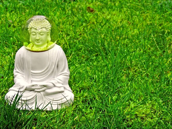 Non Puoi Dire Buddha Foto Alta Qualità — Foto Stock
