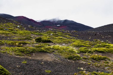 Aynı Osorno yanardağında, Şili 'de. Yüksek kalite fotoğraf