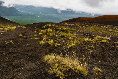 Aynı Osorno yanardağında, Şili 'de. Yüksek kalite fotoğraf