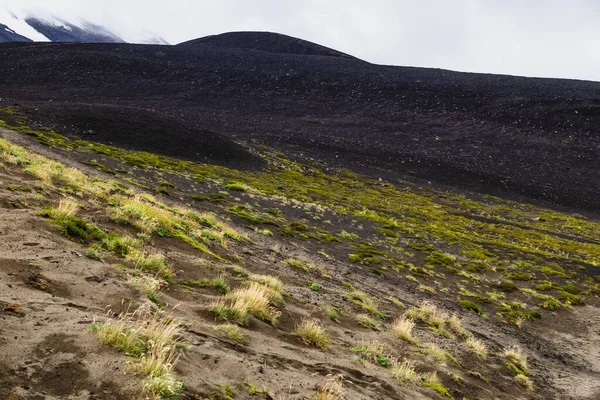 Samma Osorno Vulkan Chile Högkvalitativt Foto — Stockfoto