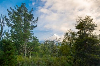 Petrohue Nehri Şili Andean Geçidi. Yüksek kalite fotoğraf