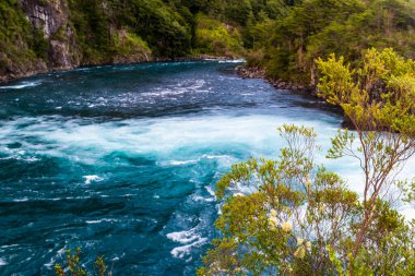 Petrohue Nehri Şili Andean Geçidi. Yüksek kalite fotoğraf