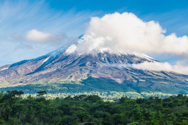 Petrohue Nehri Şili Andean Geçidi. Yüksek kalite fotoğraf