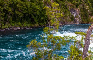 Petrohue Nehri Şili Andean Geçidi. Yüksek kalite fotoğraf