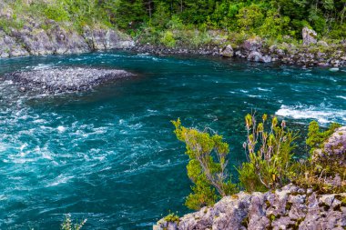Petrohue Nehri Şili Andean Geçidi. Yüksek kalite fotoğraf